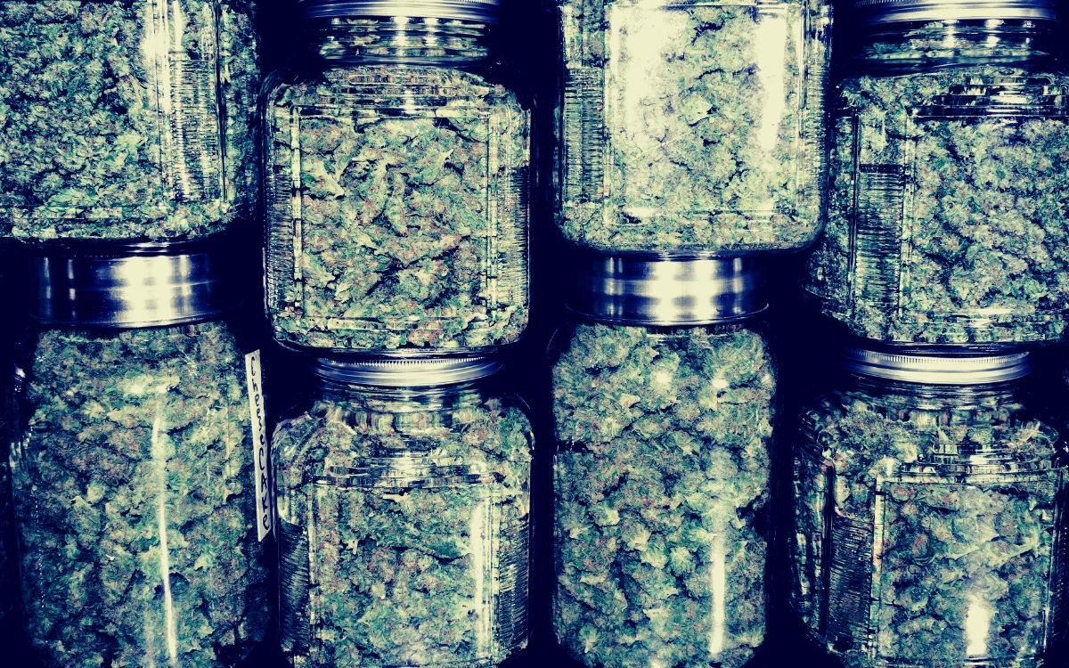 Jak Najlepiej Przechowywać Pąki Marihuany?, UprawaKonopi